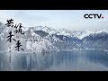 《共筑未来》第二集 海纳百川 | CCTV纪录