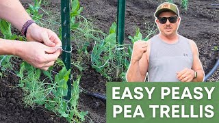 THE EASY PEASY Trellis System: Maximizing Garden Space by Lazy Dog Farm 7,158 views 2 months ago 9 minutes, 53 seconds