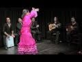 Casa patas flamenco en vivo 33  pastora galvan bailaora
