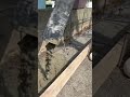 コンクリートが圧送車から出てくる瞬間2#コンクリート