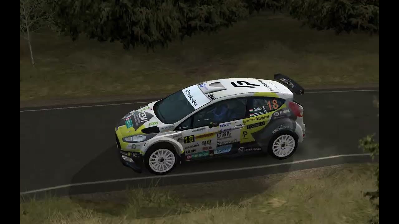 Shepherds Shield Tarmac | Ford Fiesta R5