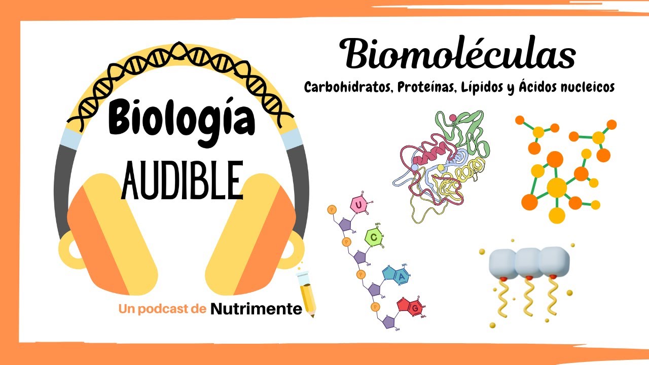 E15:  Biomoléculas [Carbohidratos, Proteínas, Lípidos y Ácidos Nucleicos]