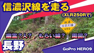【ツーリング】XLR250Rで林道　信濃沢線【林道】