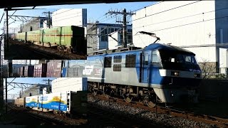 2016/03/03 JR貨物 【1071レ】EF210-159[吹]＋コキ26B 東海道本線