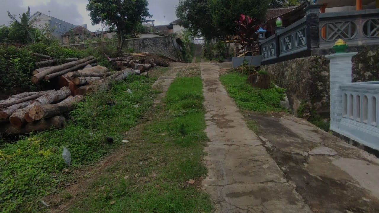 Suasana Pagi | Jalan Dusun Krajan Desa Pagak Kec. Pagak | Kab. Malang Jawa Timur