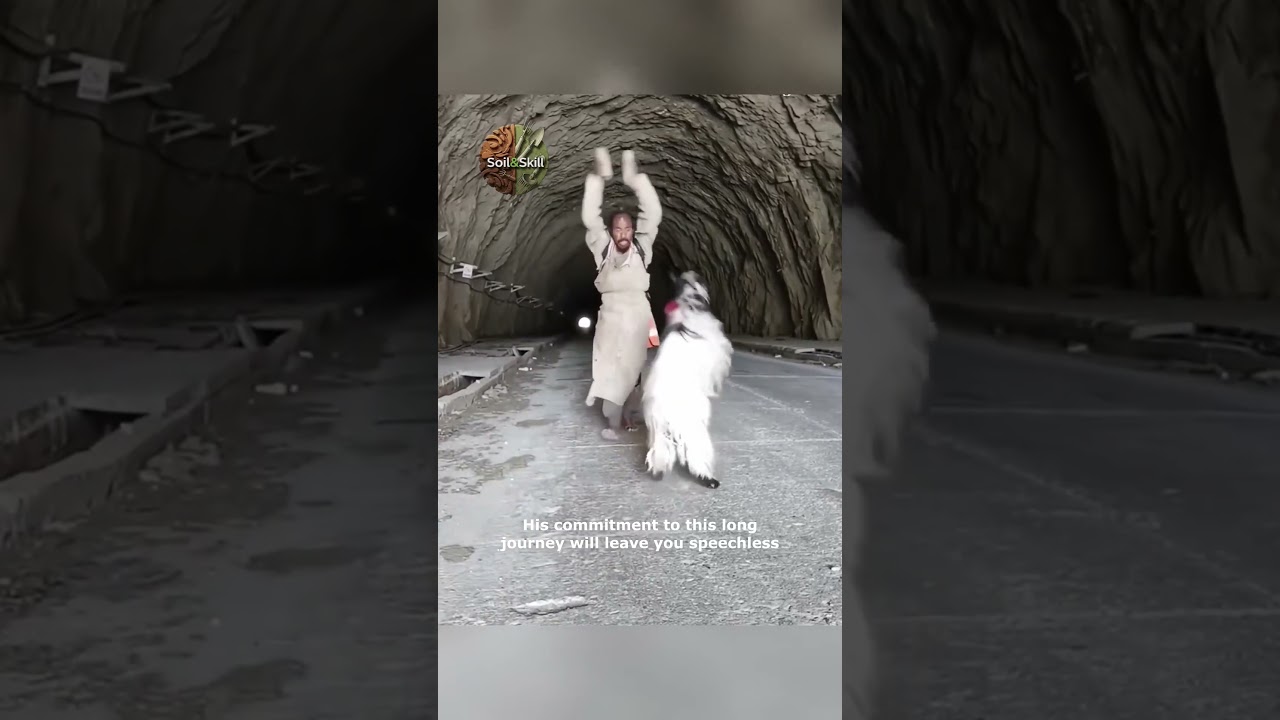 Incredible Dedication  A Tibetan Pilgrim s Journey