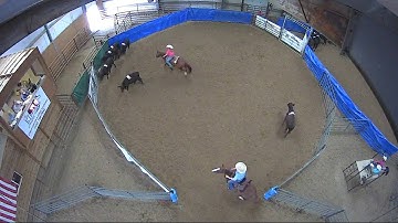Big Sky Ranch Sorting Saddle Series #5 - #9 - Round #1 - Ride #13