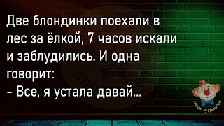 🔥Студент Приходит В Общежитие...Большой Сборник Смешных Анекдотов,Для Хорошего Настроения!