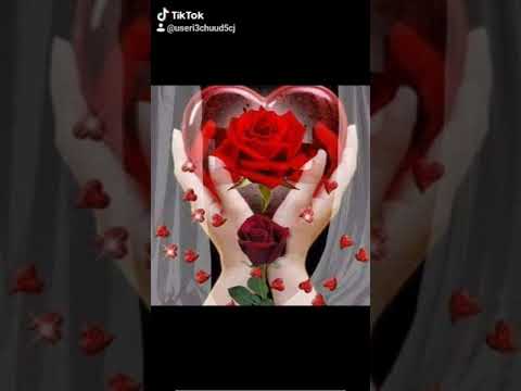 حميد السامرائي