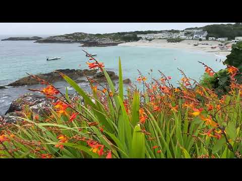 O'Carroll's Cove Beach | Ring of Kerry Ireland