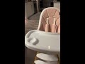 Zoodle 3 in 1 Convertible High Chair | Evolur
