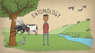 What is an entomologist? by Royal Entomological Society 7,648 views 10 months ago 1 minute, 24 seconds