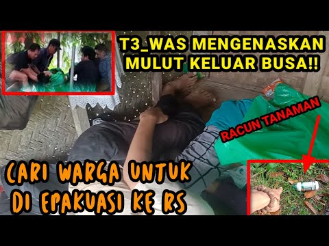 TEMUKAN DUA SEJOLI GANCET DI SAUNG//PA TANI LARI KETAKUTAN