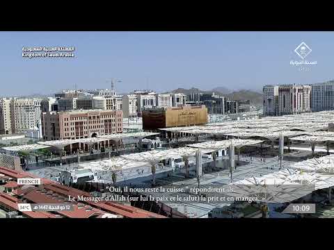قناة السنة النبوية بث مباشر