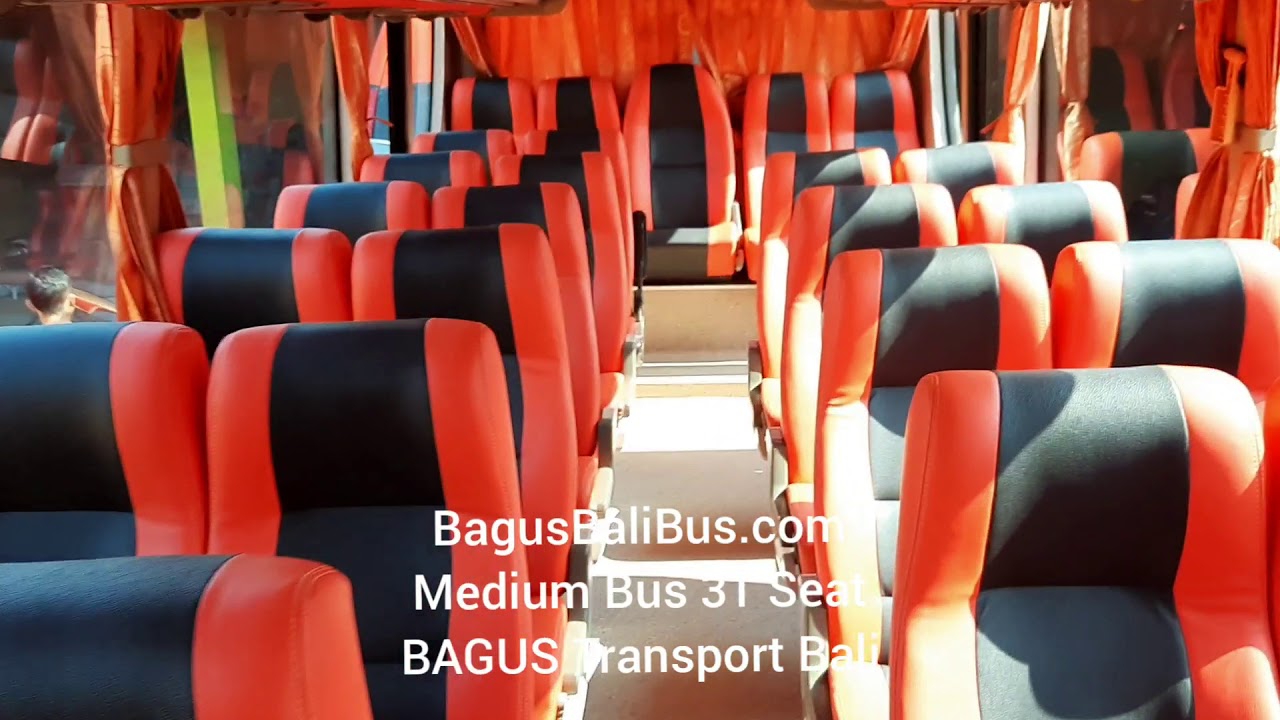 Sewa Medium Bus 31 Seat Di Bali - BAGUS Transport Bali