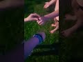 Fireflies w/ cousins!! #firefly #bugs #fireflies #fyp #fypage #cute #cool