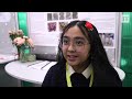 Bamboo hurleys, collapsible turbines, cars fuelled by kelp and more at BT Young Scientists