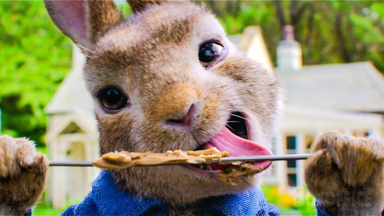 CUTE Rabbits Doing BAD Stuffs for 20min ⚡ 4K - YouTube