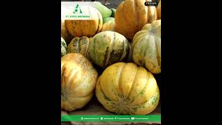 Manfaat Buah Blewah Untuk Kesehatan