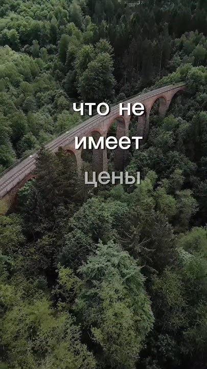 бесценные//бесценно #бесценные #бесценно #шортс #видео #мудрыеслова ...