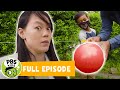 Balloon Rocket Experiments and Comparisons