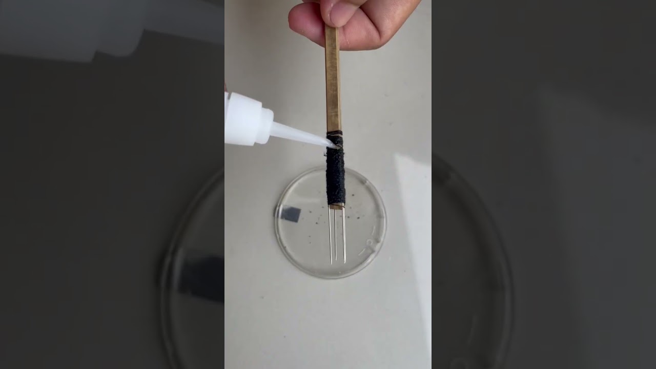 MEMBUAT TOMBAK UDANG SEDERHANA DARI JARUM!!! 