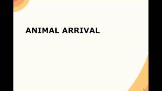 Animal Disaster Response - Sheltering - Companion Animals