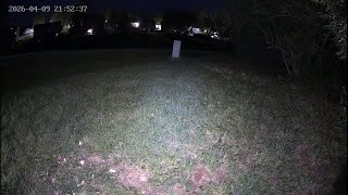 CAM 4: ♥️ REPLAY 🌷Critter CamTV ☔️ | 24/7 Wild Animals &amp; Birds | Spring Kentucky USA
