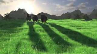 Nature Academy - grass and plants