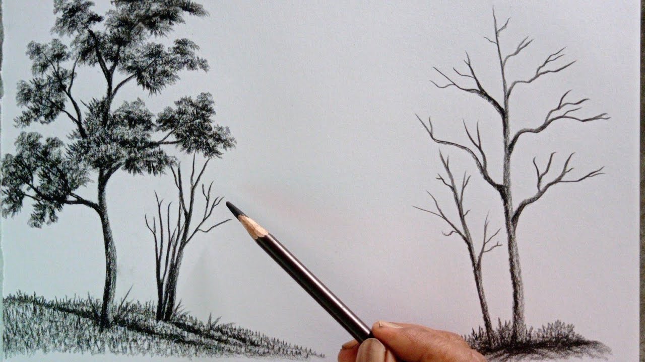 How to Draw with Charcoal Pencils - Landscape Sketching 