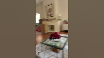 #funny #perfectloop #cat #satisfyingloop #loop #interiordesign #stopmotion