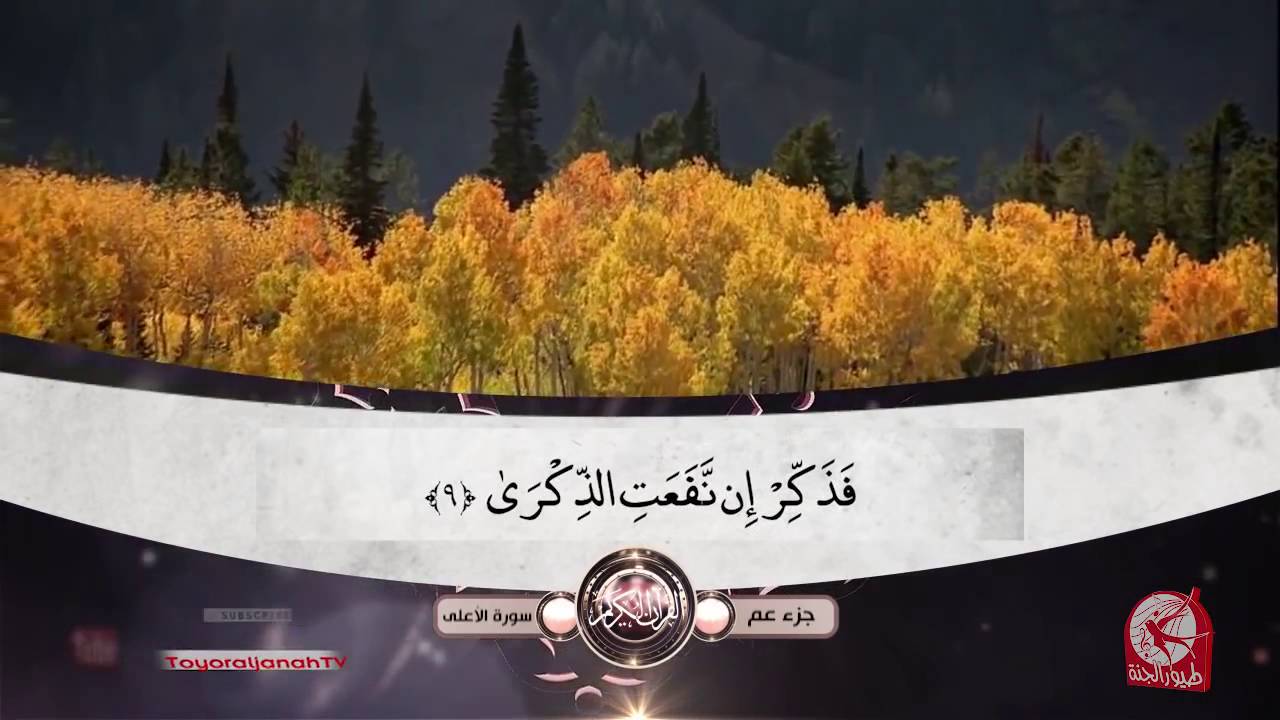 سورة الأعلى - جزء عم | طيور الجنة