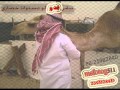 العاصفة جفران mp3