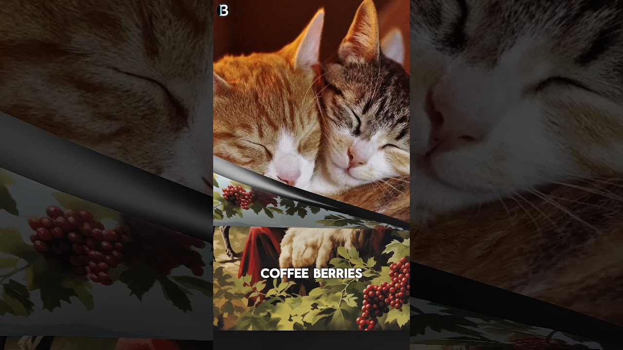 Top 10 Interesting Random Facts 