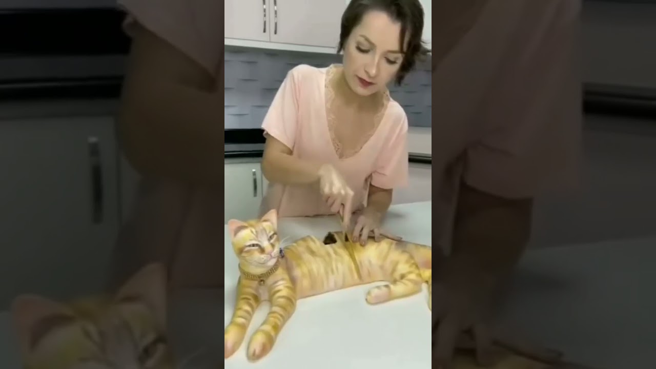 Cat Cake 🎂🙀 | Cake Cutting | Village Cooking | Asmr | 