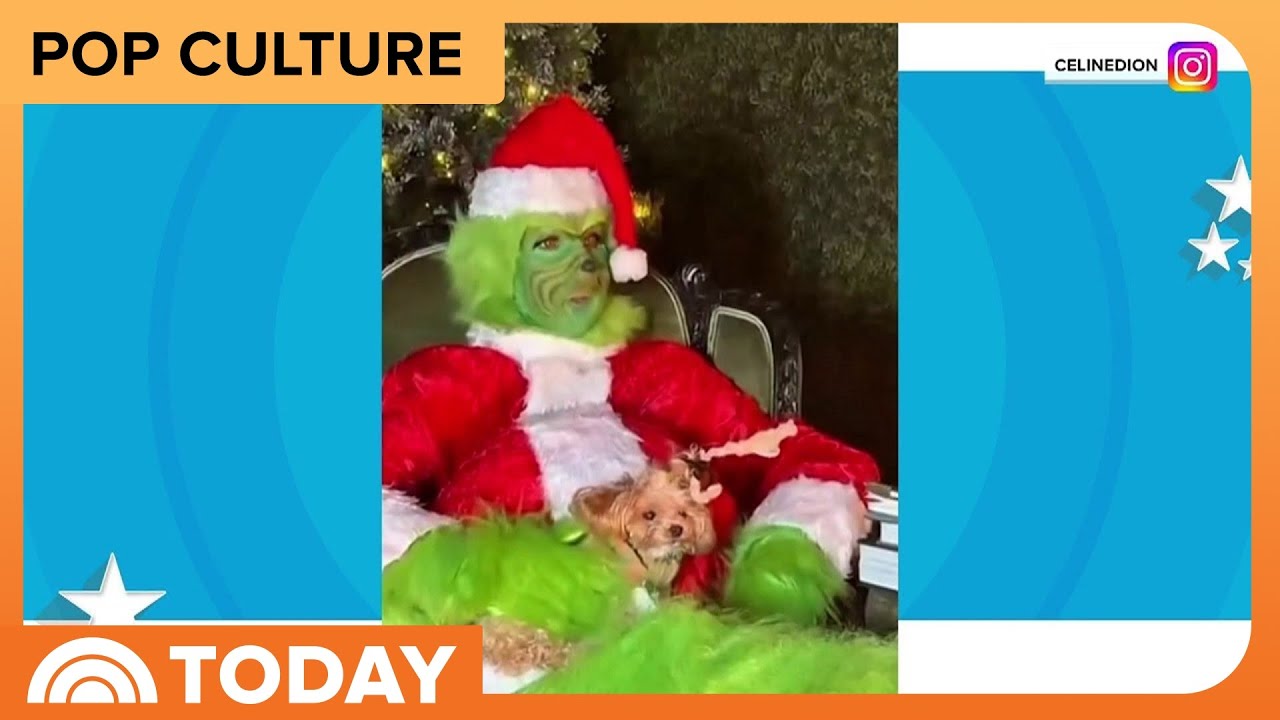 See Céline Dion Dressed as the Grinch for the Holidays