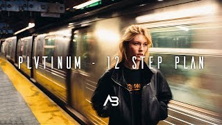 PLVTINUM - 12 Step Plan