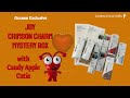 JOY CRIMSON CHARM MYSTERY BOX with Cricut Cutie