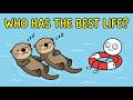 Six Animals Are Living A Better Life Than You. Here's The Ranking.