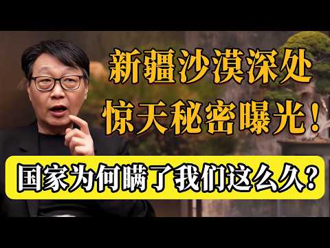 新疆沙漠深處的驚天秘密曝光！ 1/3沙漠竟全部變良田？國家為何瞞了我們這麼久？#冯小刚 #圆桌派 #许子东 #马家辉 #梁文道  #观复嘟嘟 #马未都 #纪实talk