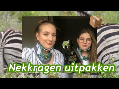 Nekkragen uitpakken en dragen: Help Jane & Rosa battle CCI/AAI