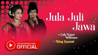 Najar Wibowo Feat. Sayuni - Jula Juli Jawa 
