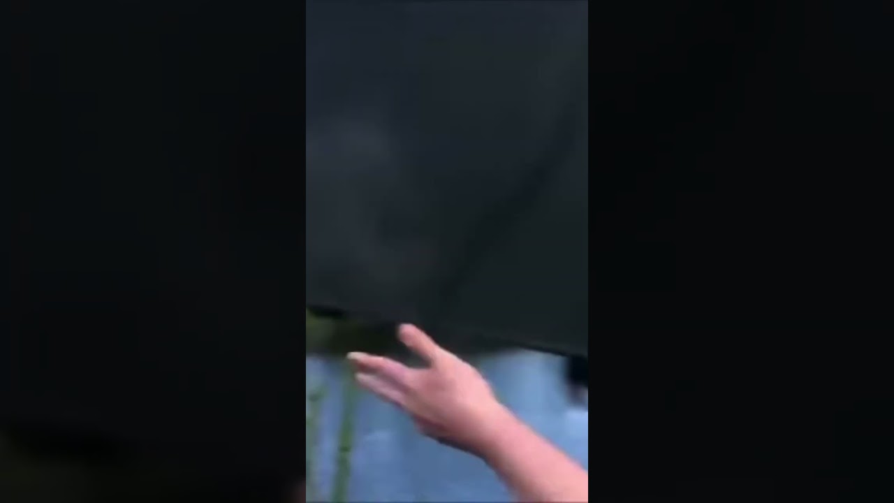 Don’t mess with jeffy