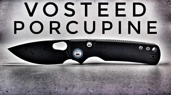 Fantastic With 1 Flaw - Vosteed Porcupine 4 Month Honest Review