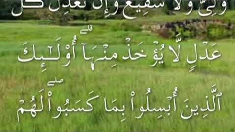 سورة الانعام صفحة ١٣٦ مكتوبة مكررة بصوت الغامدي