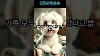 “10년 키운 반려견, 형부 발길질에 사망”…견주의 눈물 #반려견 #반려동물 #강아지 #노견 #말티즈 #형부 #내장 #파열 #사망 #사건 #사고 #뉴스 #이슈 #기사 #논란