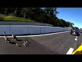 Good Samaritans Help Flock of Geese Cross Busy Highway