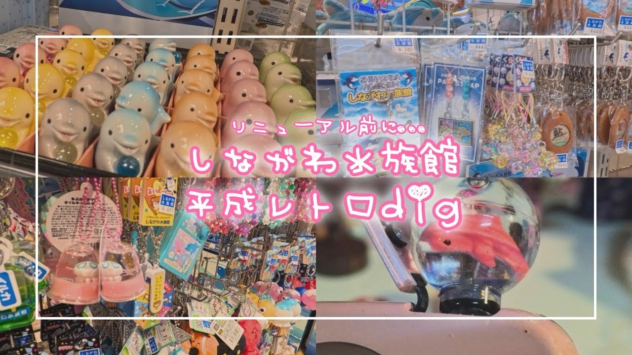 平成のお土産がたくさんあると噂のしながわ水族館へ行ってきた𖤐ﾟ₊✯͡
