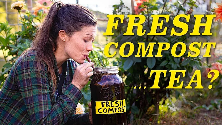 DIY Compost Tea Brewer is the answer to many Garde...