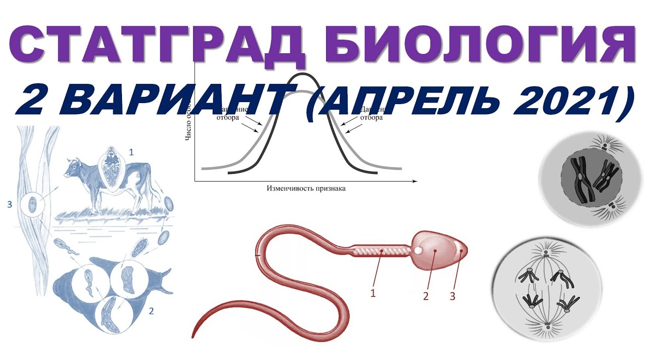 2021 по биологии 9